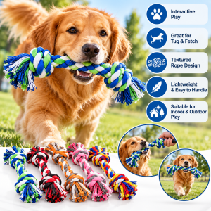 golden retriever rope toy playtime